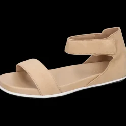 Allegra 1