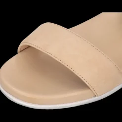Allegra 1