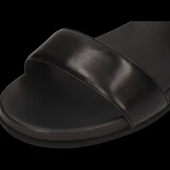 Allegra 1