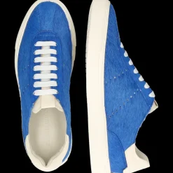 Harvey 68