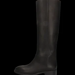 Miranda 4