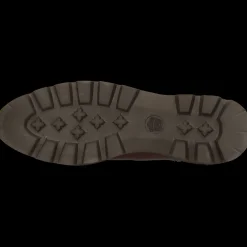 Molly 10