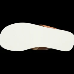 Sam 5